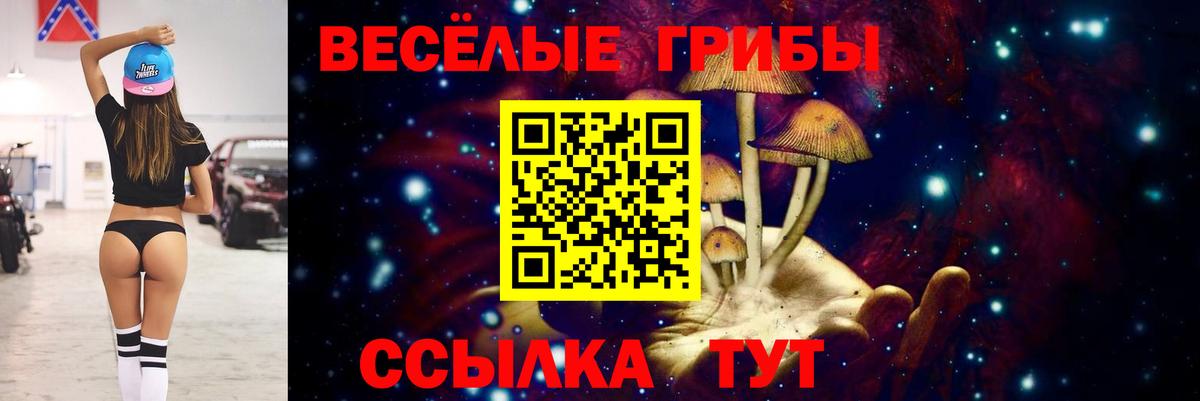 Галлюциногенные грибы мухоморы Советская Гавань
